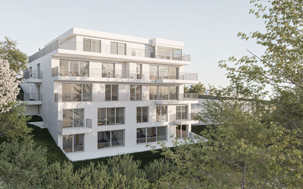 Projekt reussbuehl ip3 group bauunternehmung 01